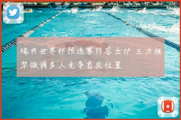 瑞典世界杯预选赛阵容出炉 主力框架微调多人竞争首发位置