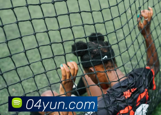 开云体育·(中国)官方APP下载发展历程